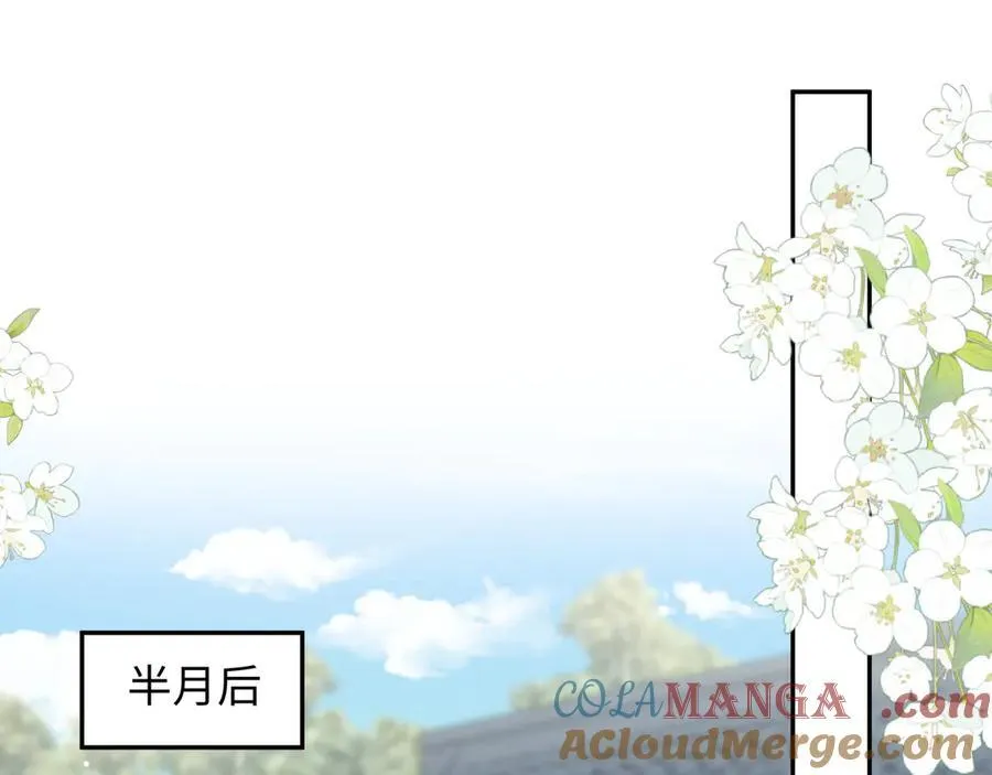 381 都说了别开自动拾取 第17页