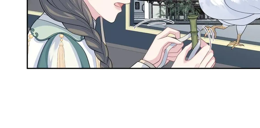 394 第74页