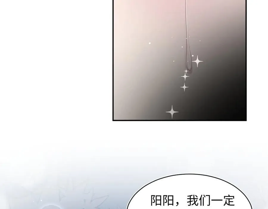 395 深夜密会筹划营救 第66页