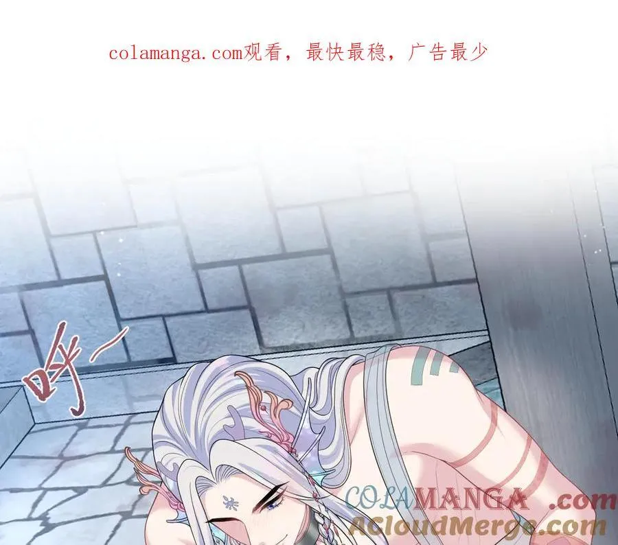 397 封后大典 第1页