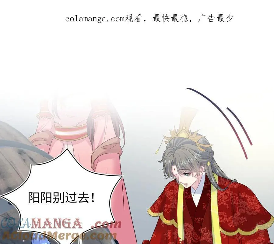 397 封后大典 第113页