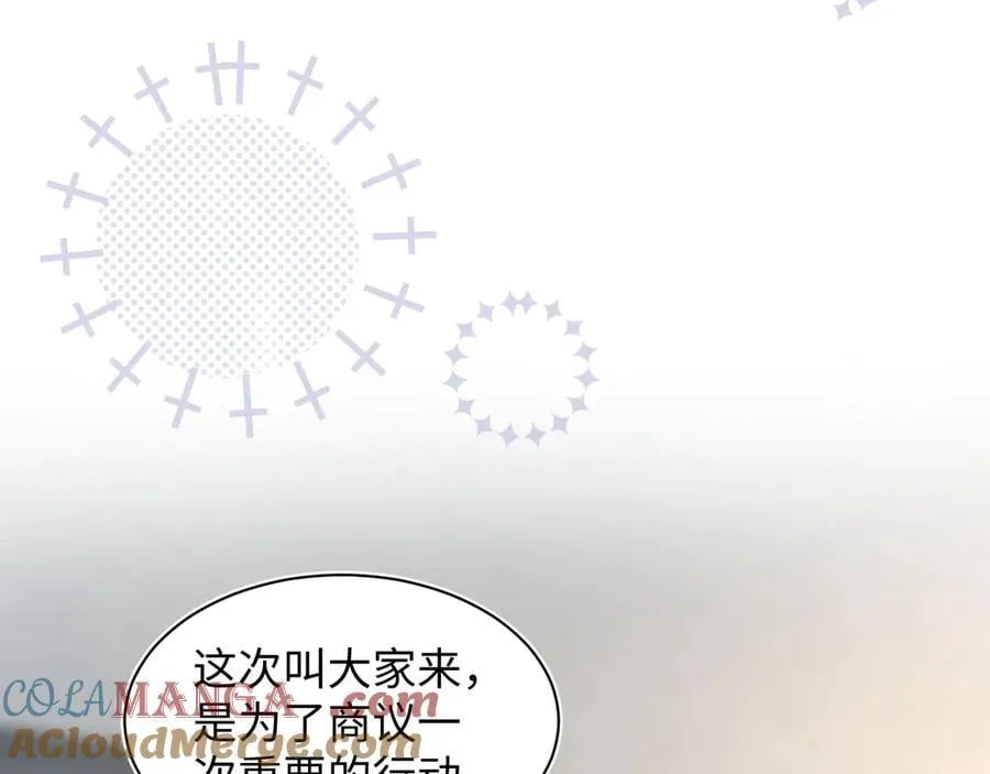 426 作战会议 第4页
