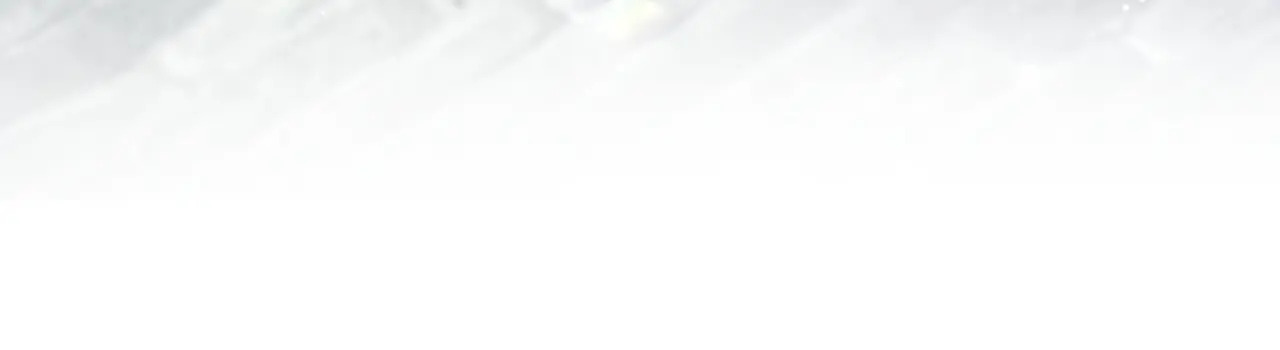 499 第105页
