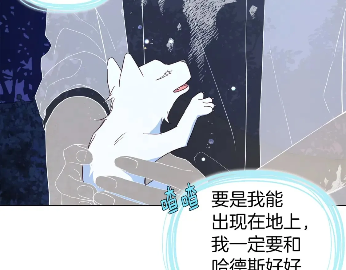 第121话 召唤的媒介 第156页