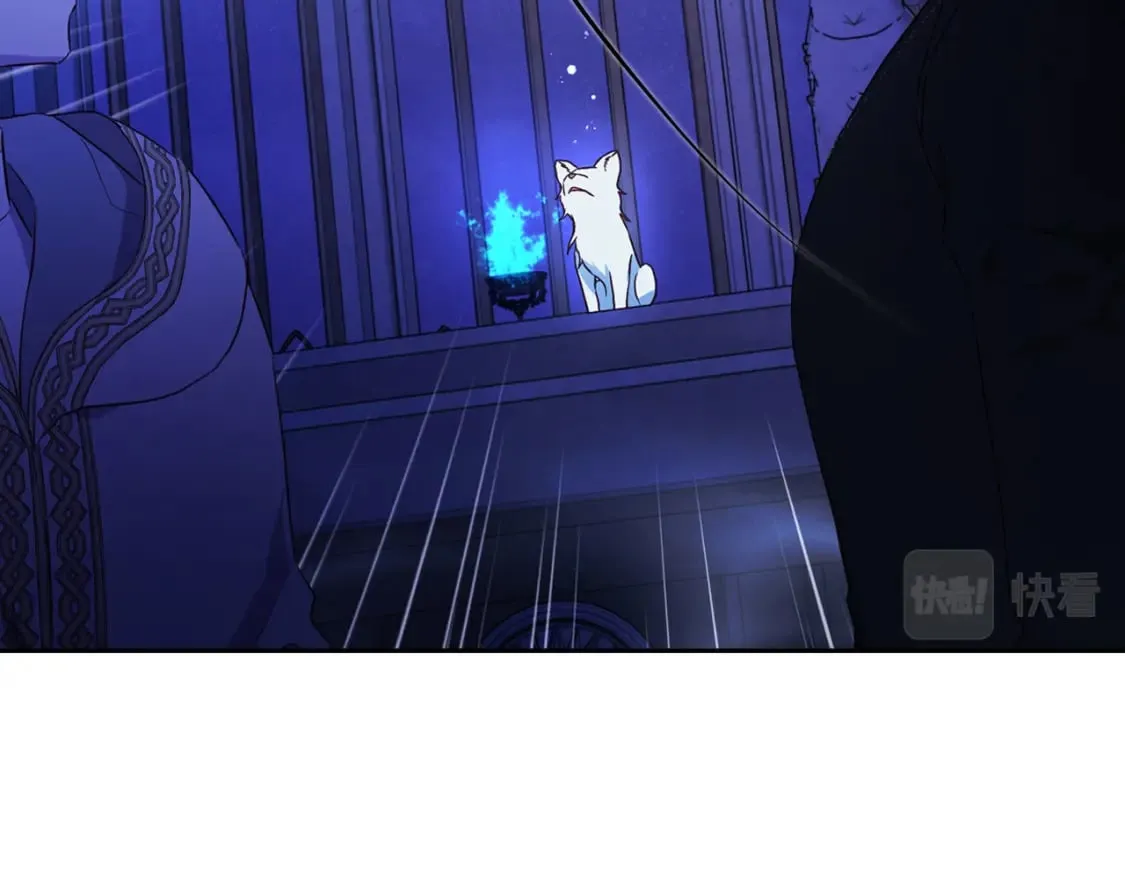 第126话 反向召唤 第97页
