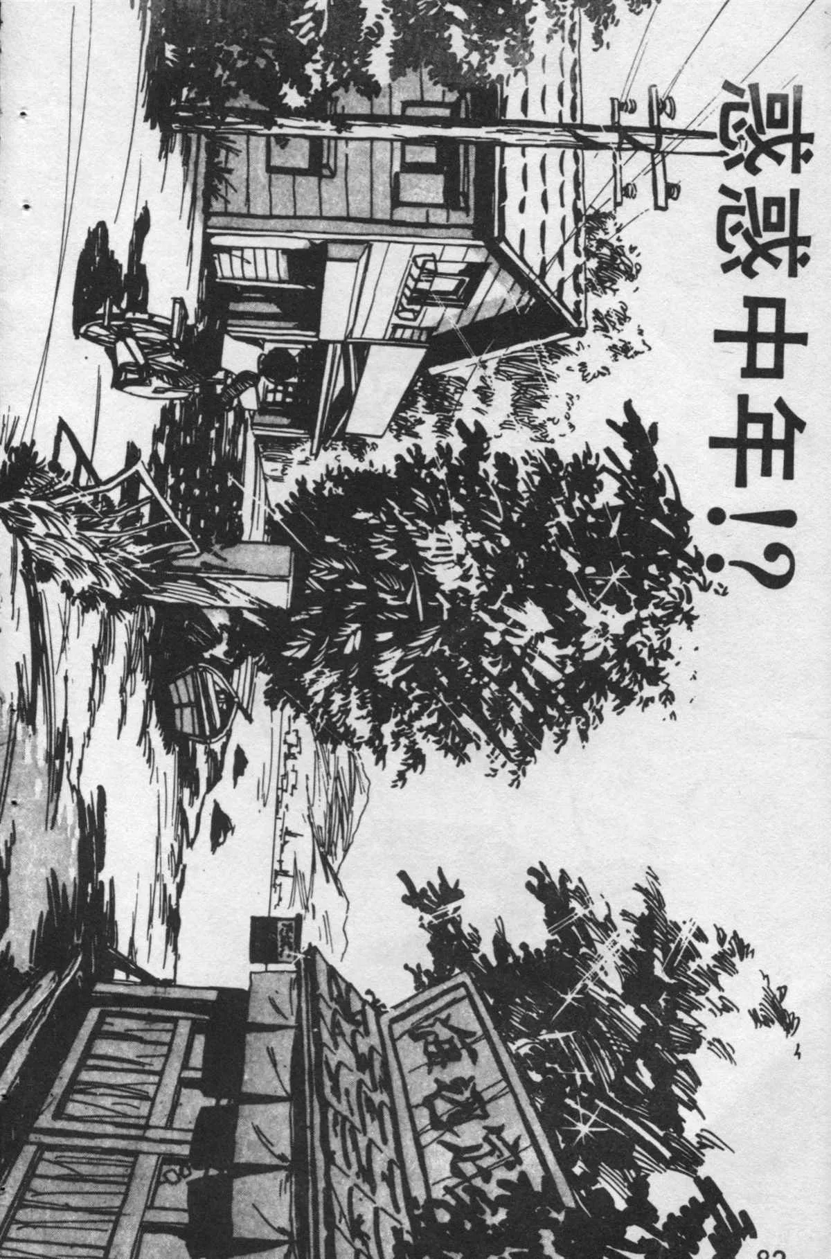 原版第24卷 第81页
