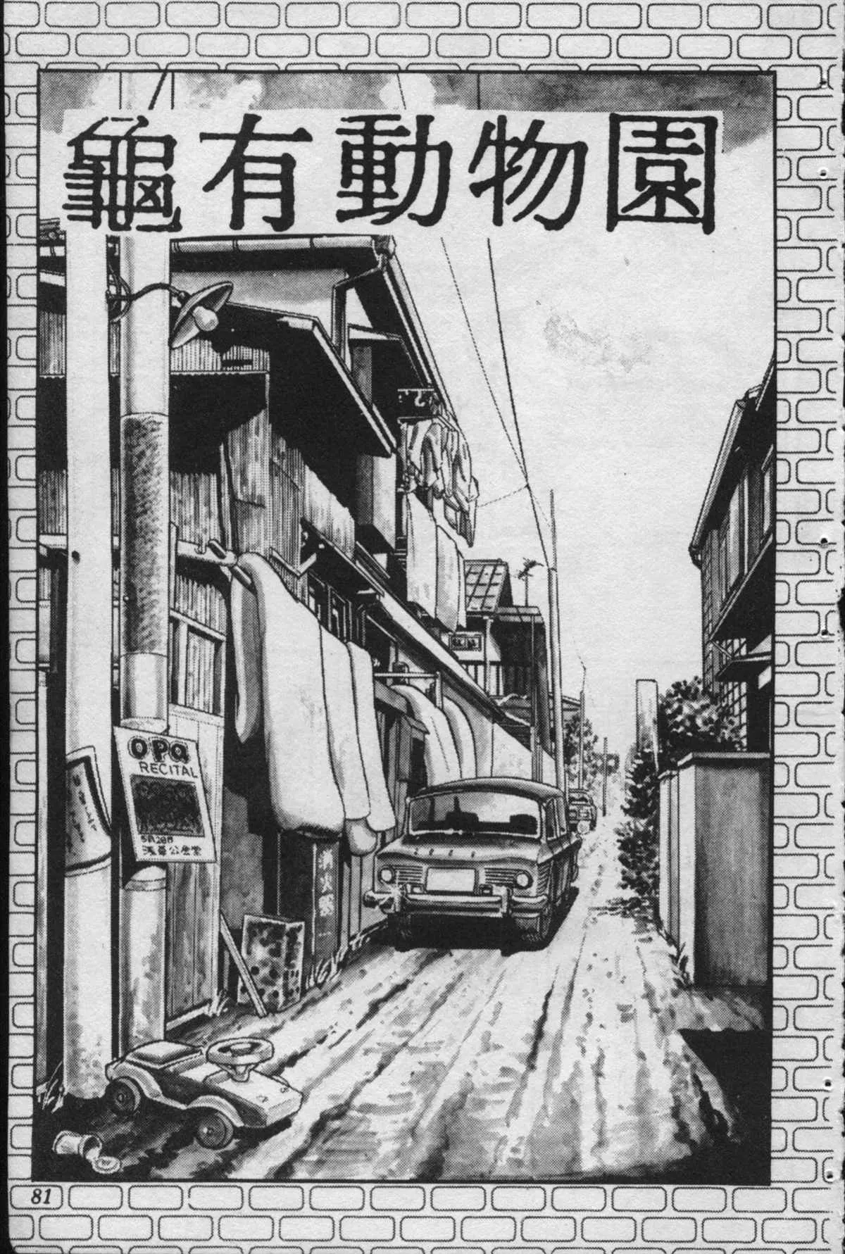 原版第23卷 第80页