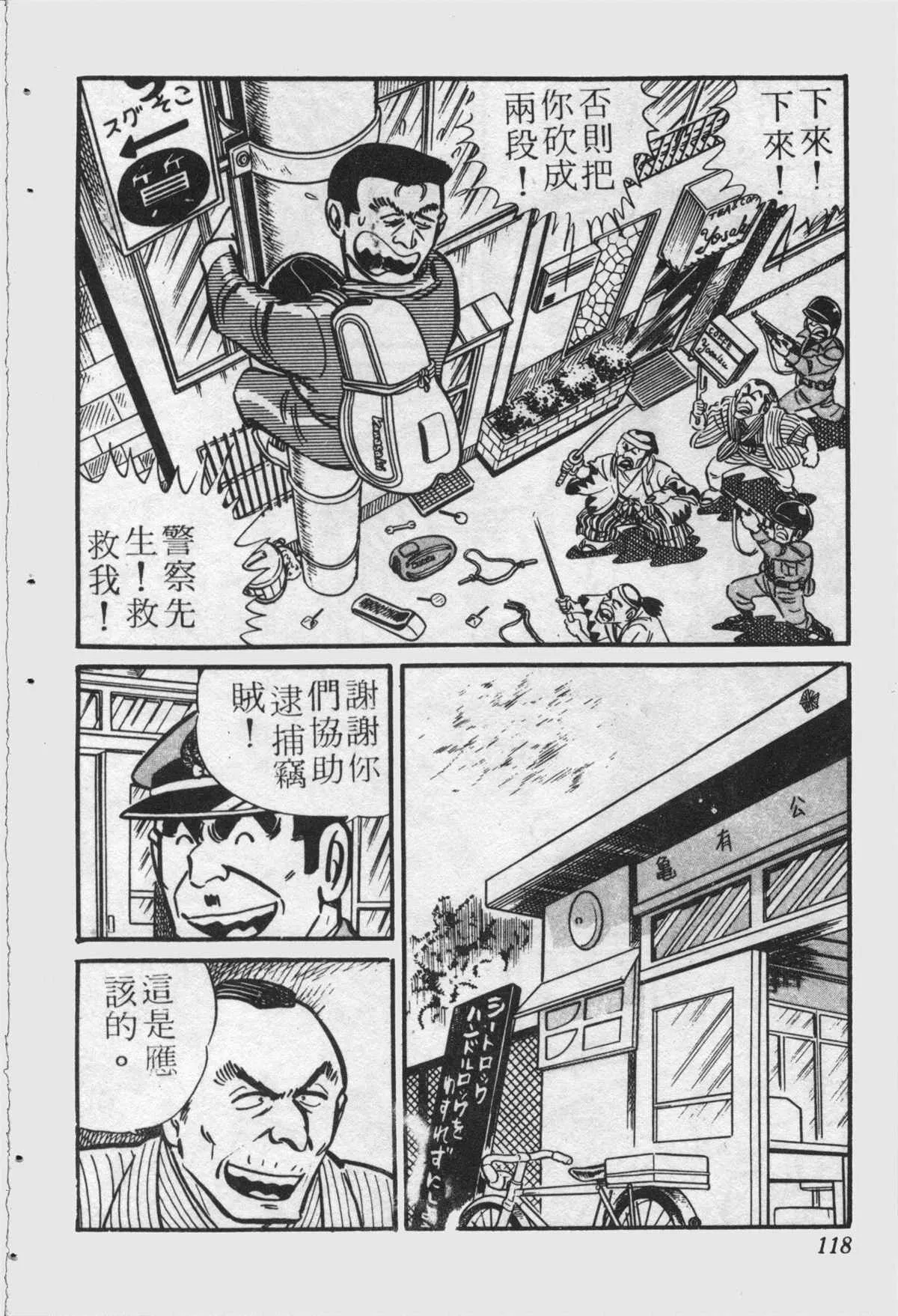 原版第22卷 第117页