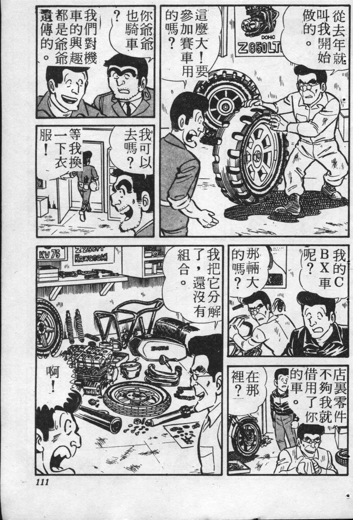 原版第20卷 第110页