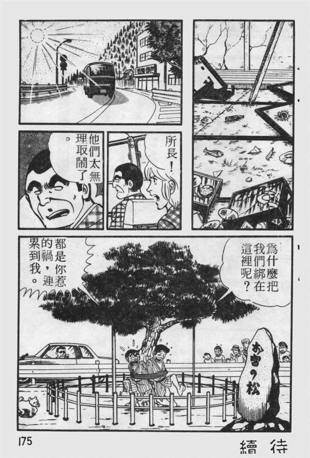 原版第19卷 第176页