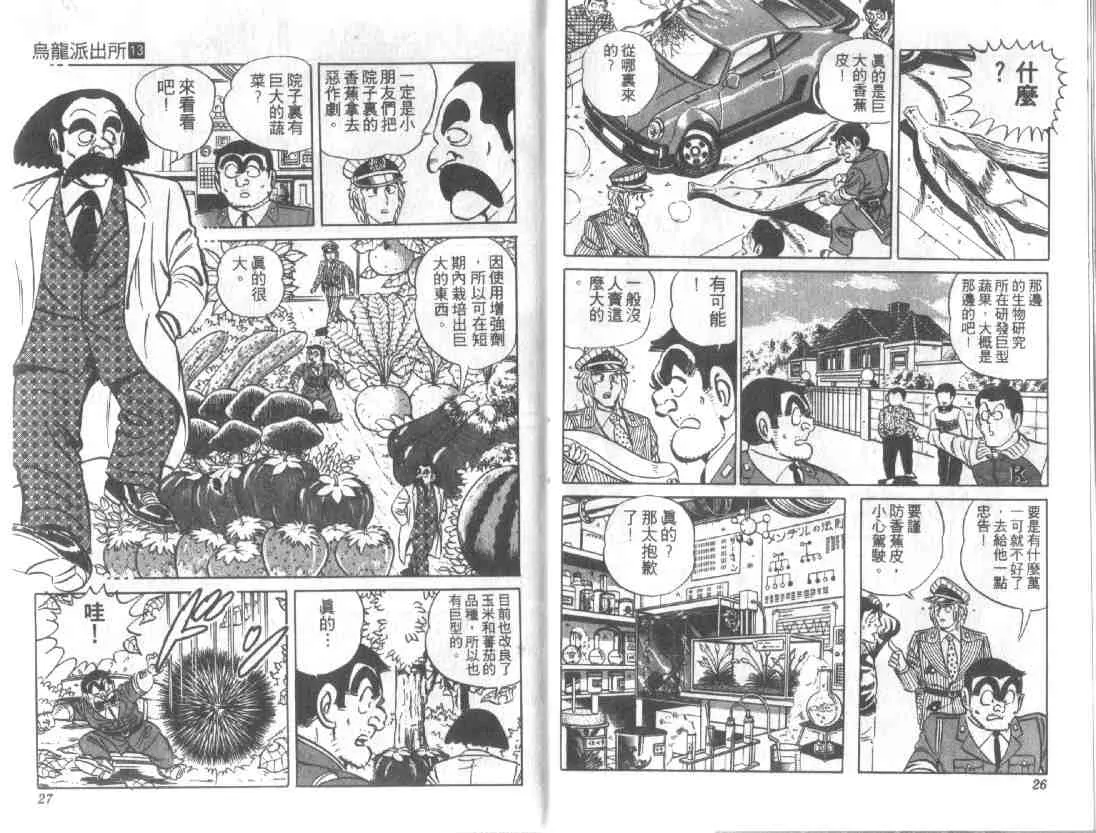 第13卷 第13页