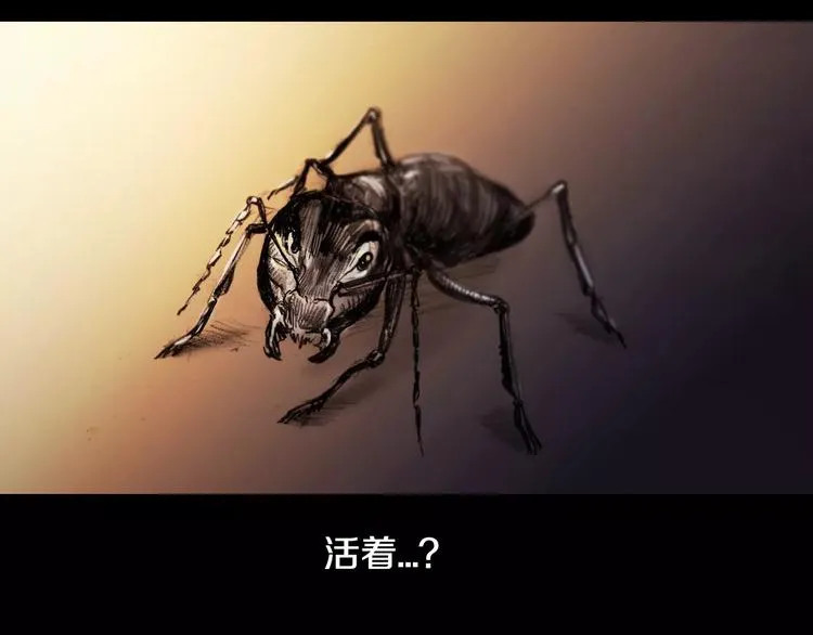 第0+1话 灾难来袭！！！ 第52页