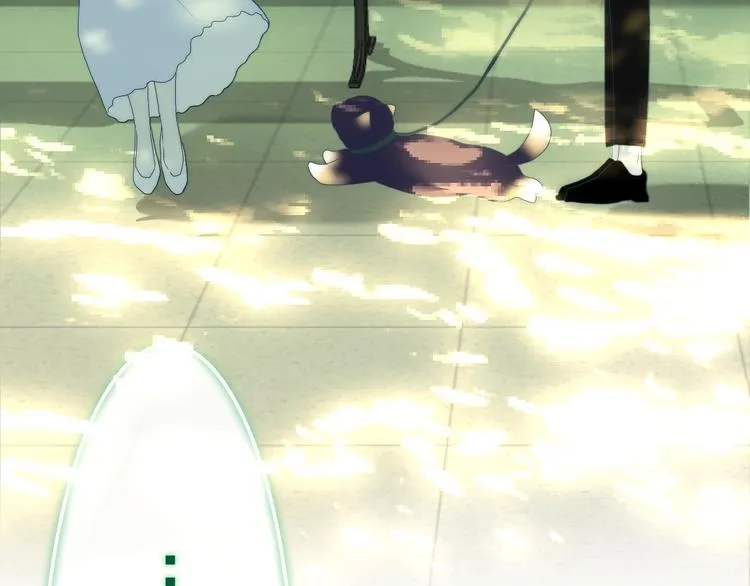 第41话 告白之冷猫 第7页