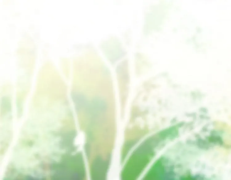 第5话 独一无二的你 第112页
