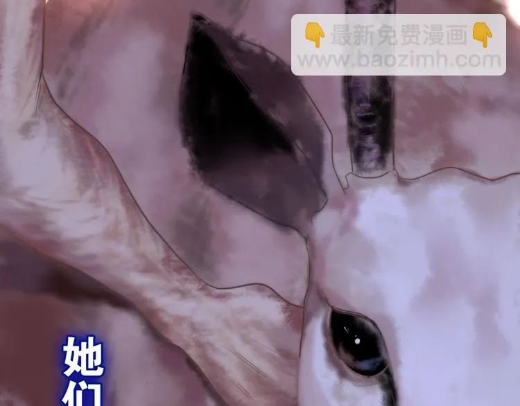 第13话 红花与绿叶 第87页