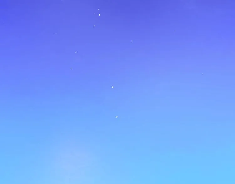 第19话 我们的秘密… 第75页