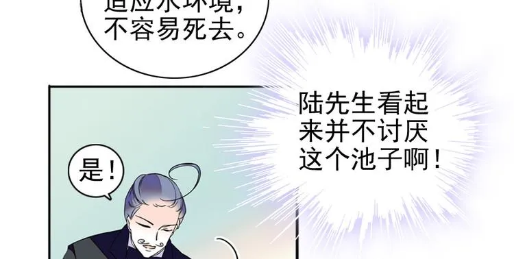 第28话 回礼 第61页