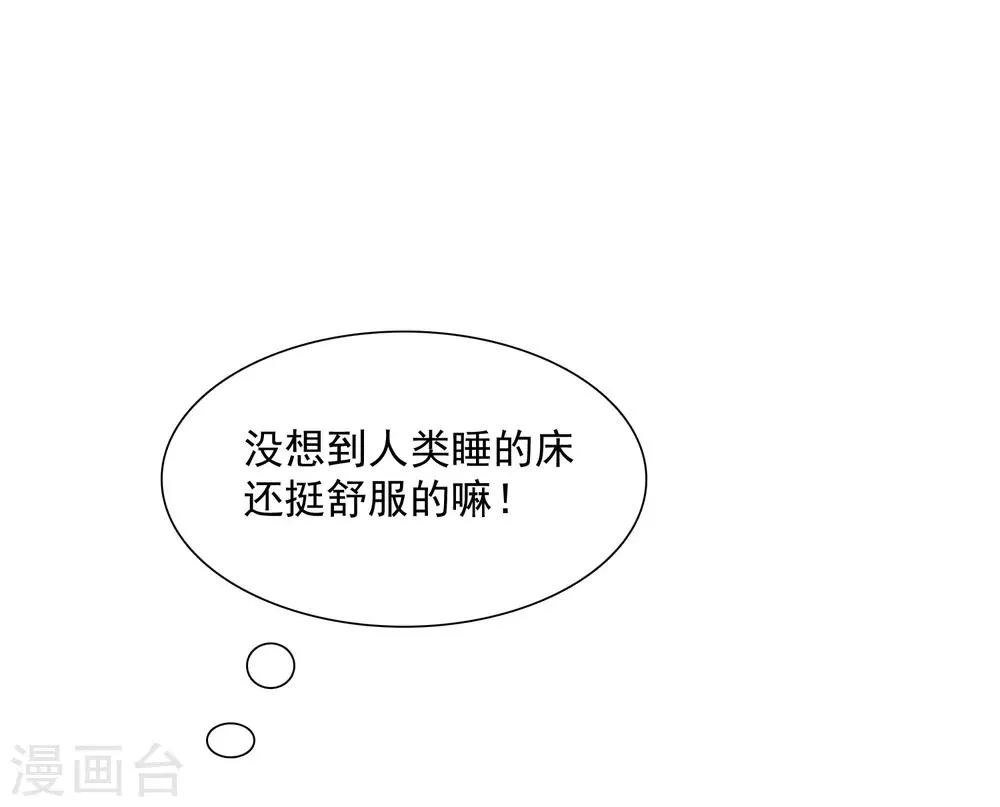第5话 饲养萌宠第一步 第26页