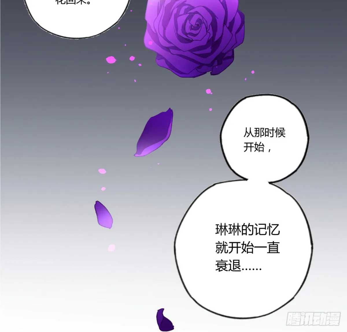 那束花 第19页