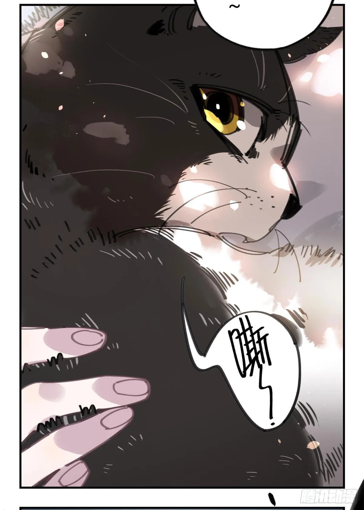 被丢弃的猫 第8页