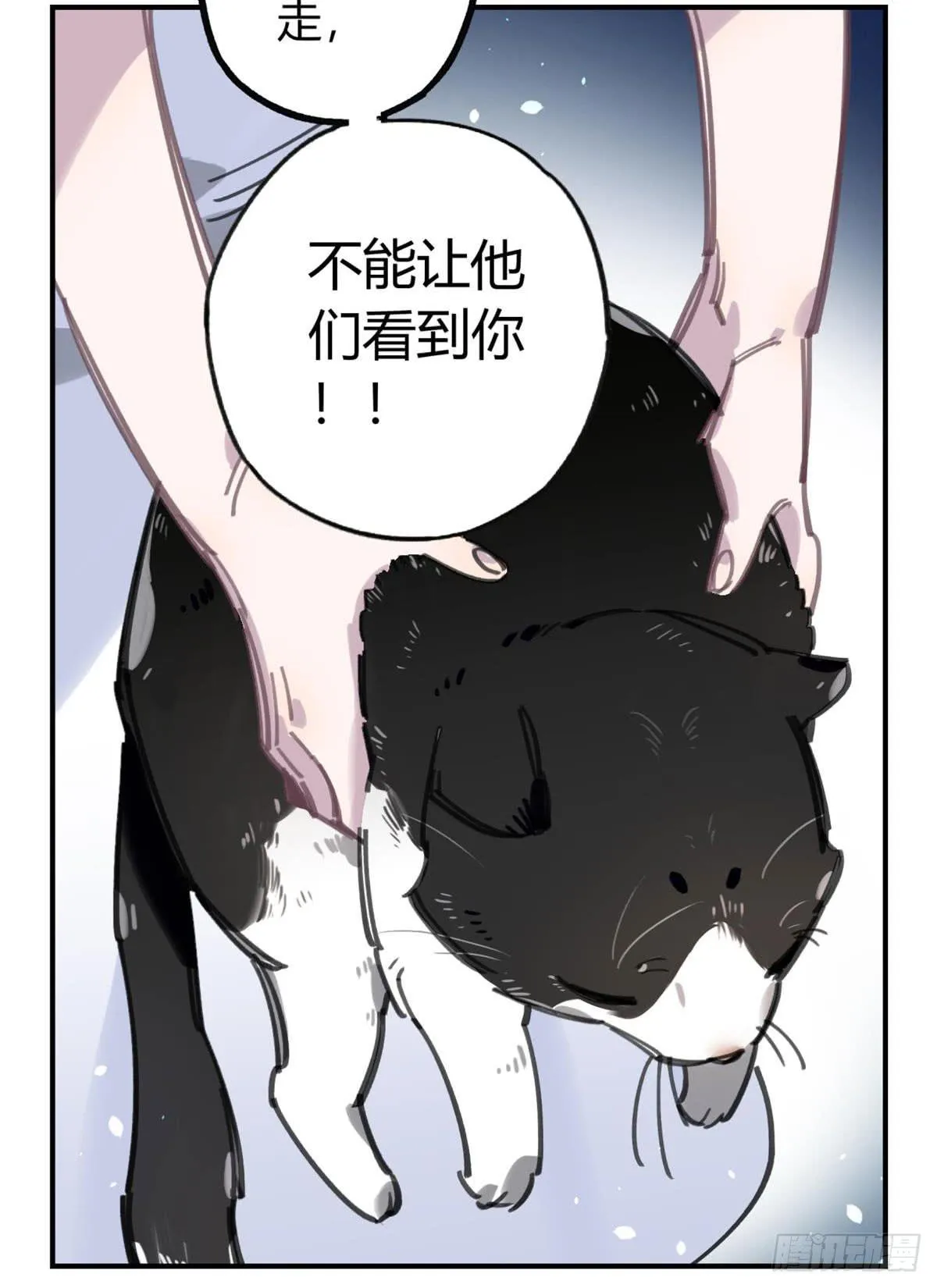 被丢弃的猫 第14页