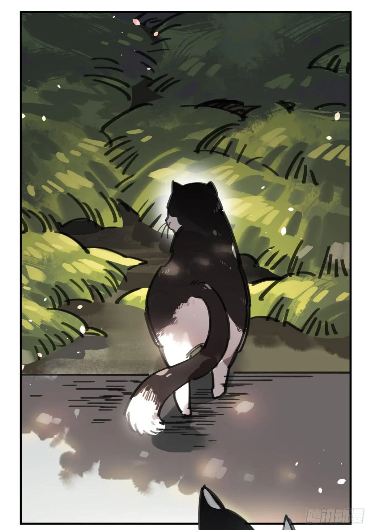 被丢弃的猫 第15页