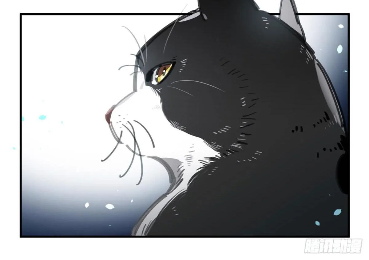 被丢弃的猫 第16页