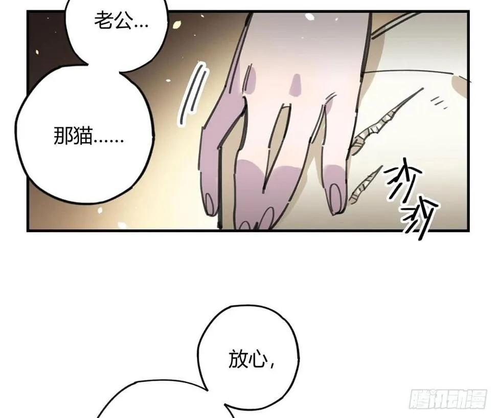 被丢弃的猫 第32页