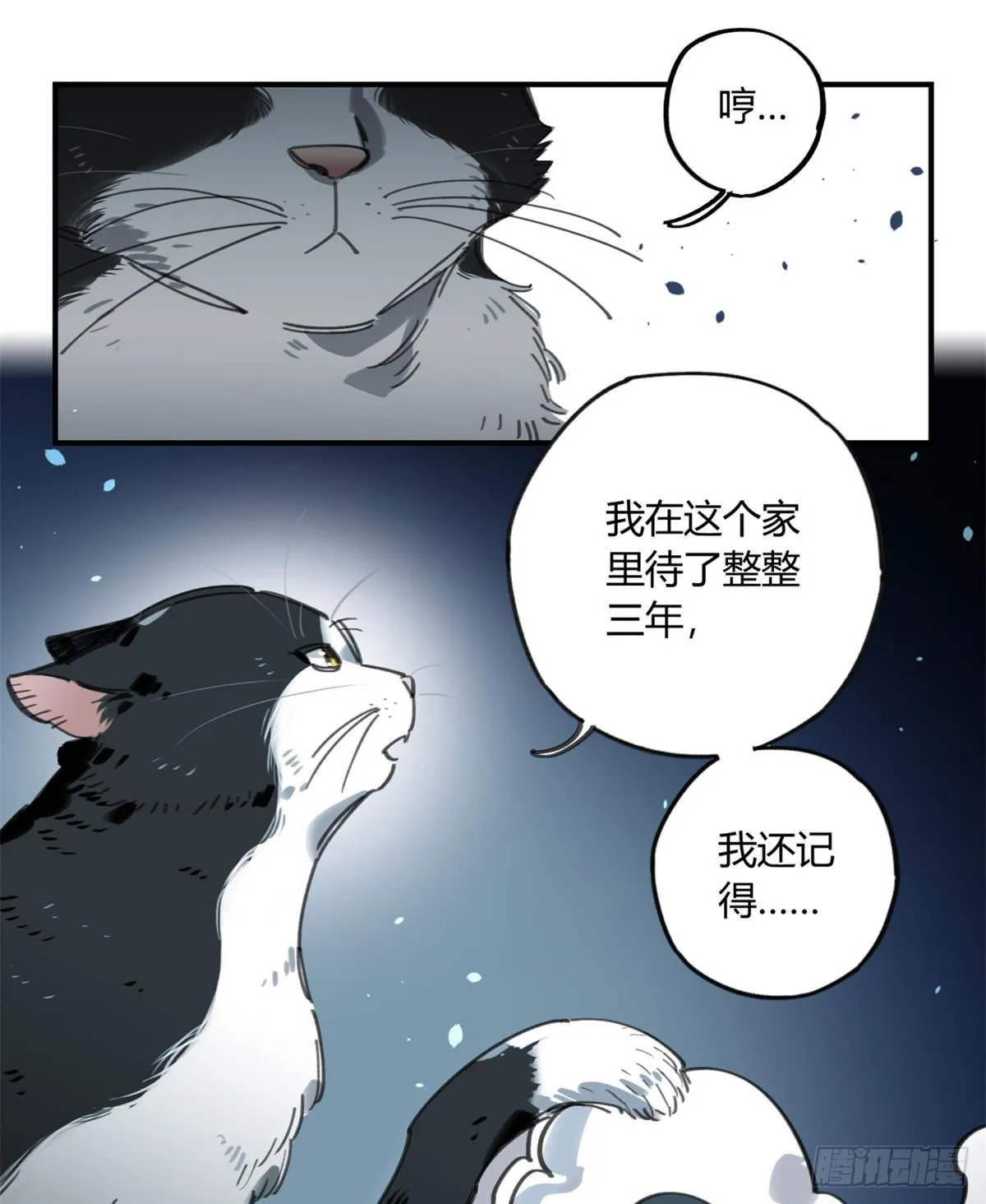 我要留在这里 第15页
