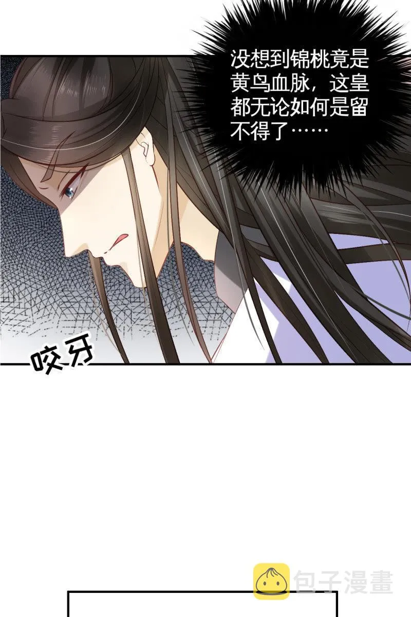 黄鸟血脉 第27页