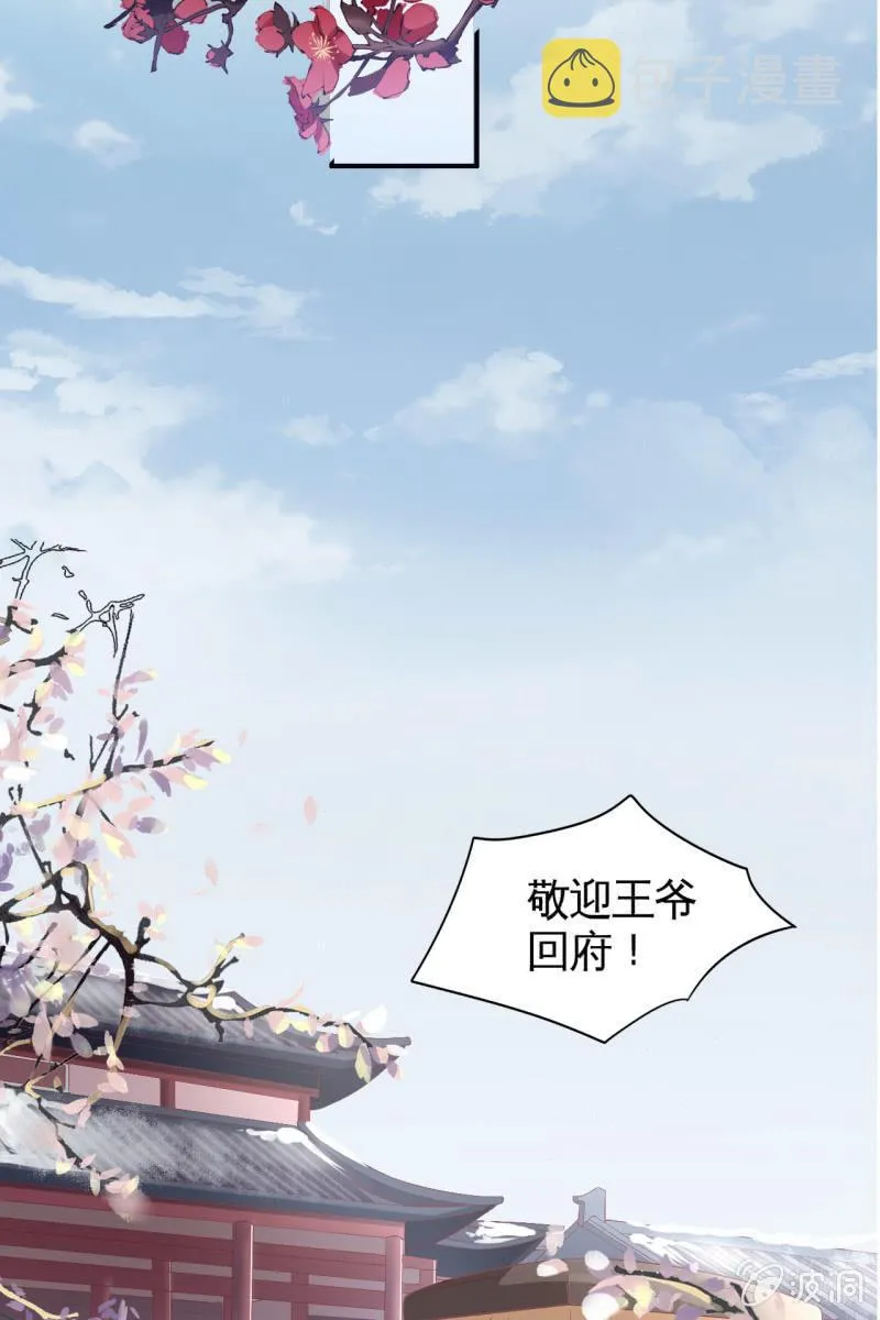 恭迎王妃 第29页