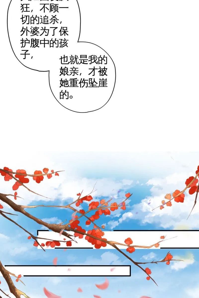 锦桃传承的记忆 第28页