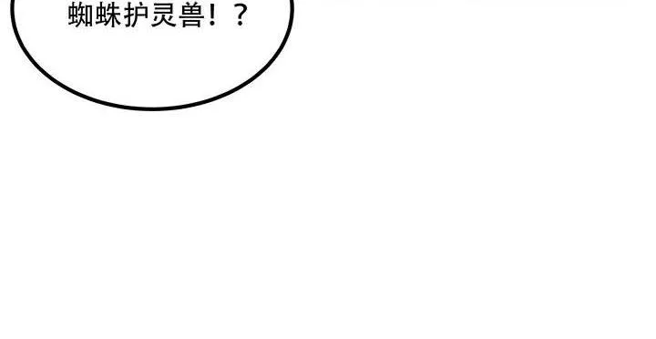 28话 蜘蛛灵兽 第45页