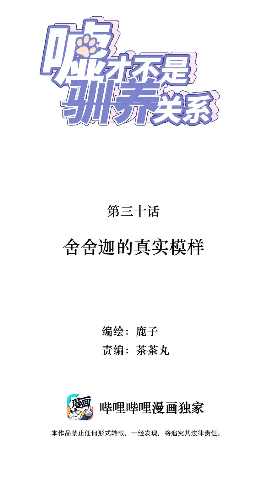 030 舍舍迦的真实模样 第2页