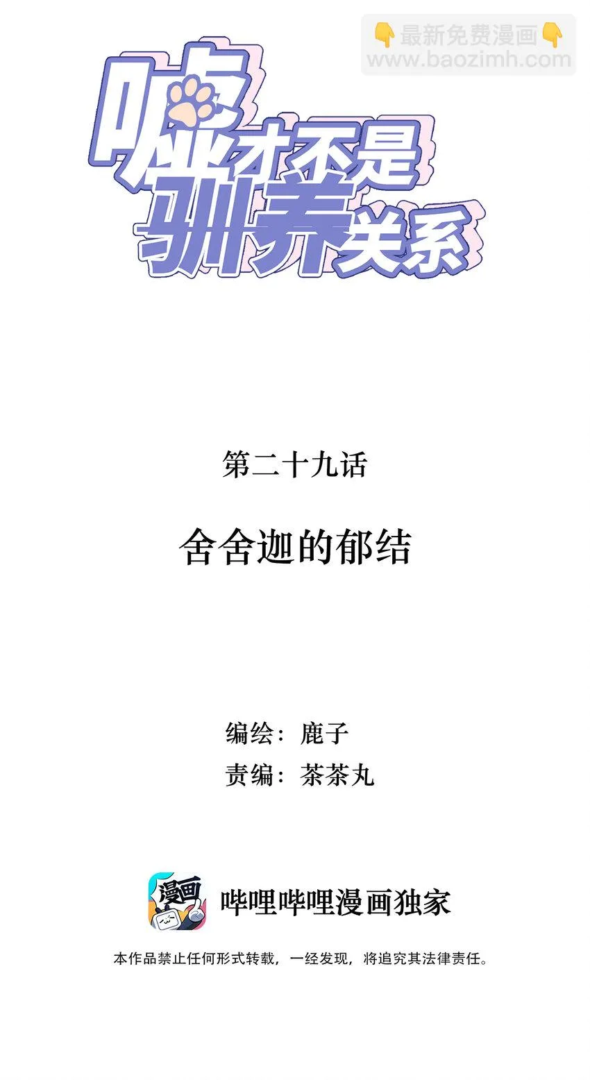 029 舍舍迦的郁结 第2页