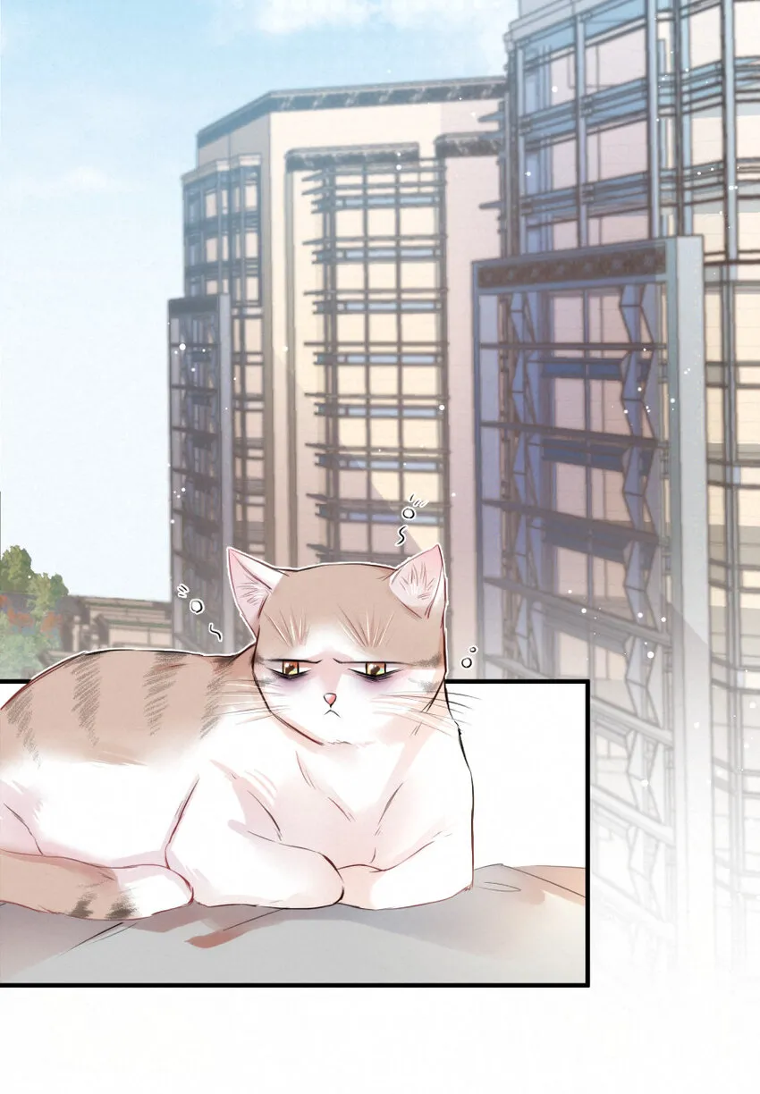 023 扭曲的报复 第10页