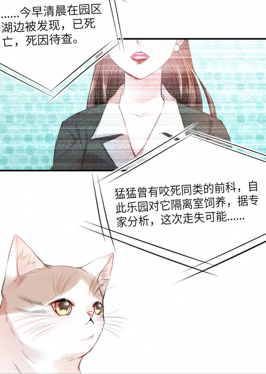023 扭曲的报复 第13页