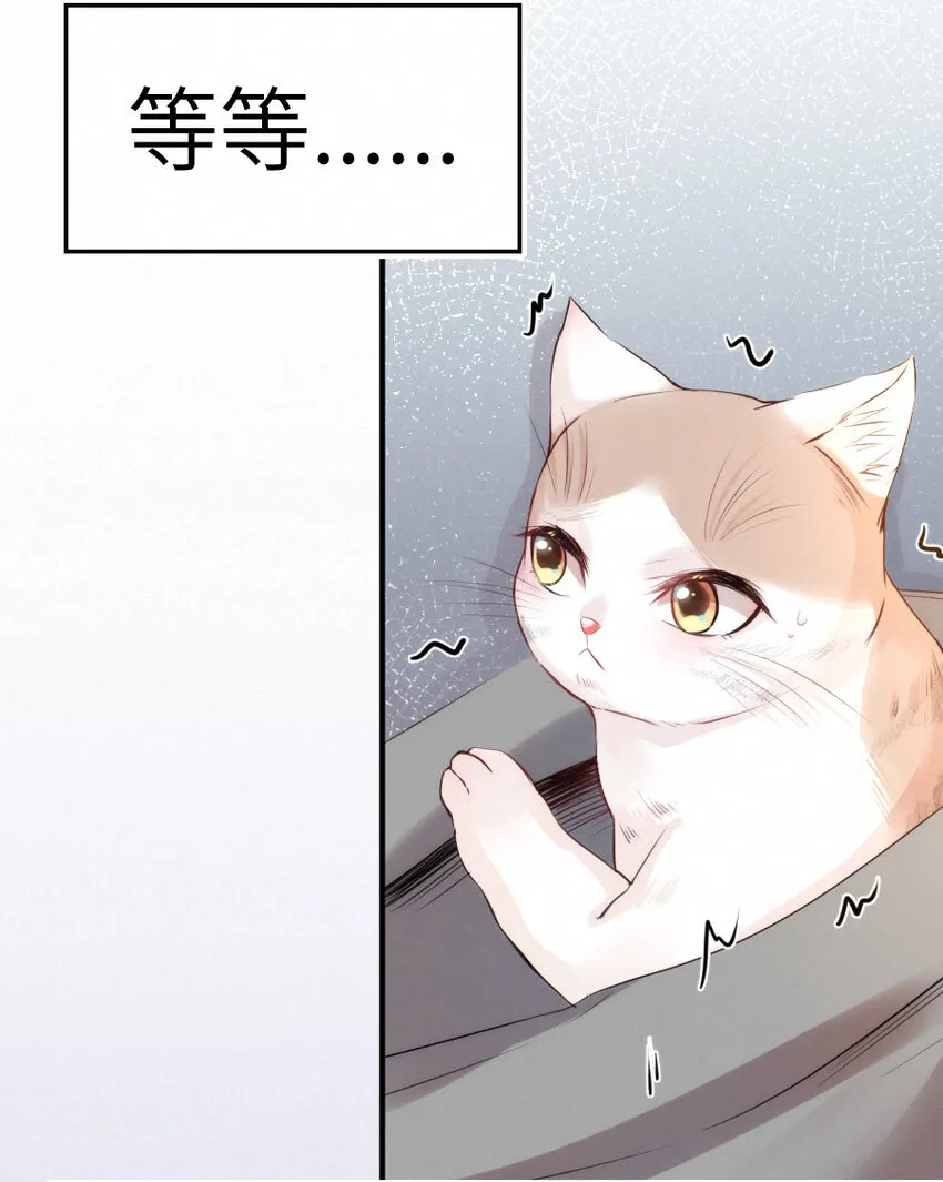 017 阴差也怕鬼？！ 第13页