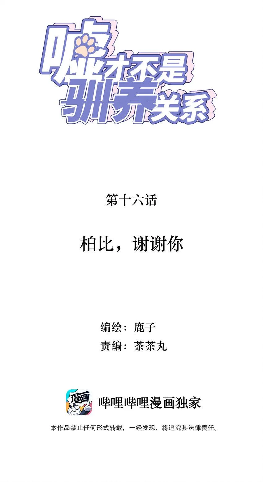 016 柏比，谢谢你 第2页