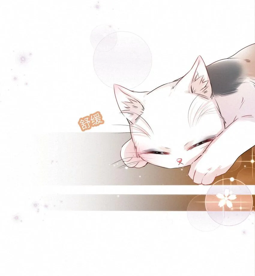 014 什么....死了？！ 第17页