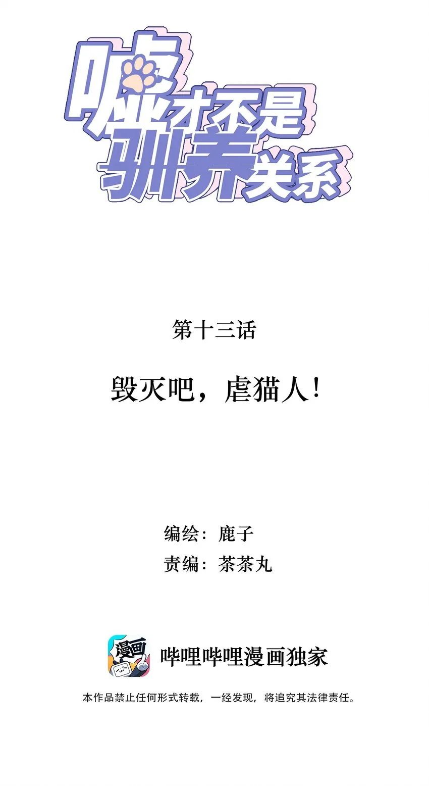 013 毁灭吧，虐猫人！ 第2页
