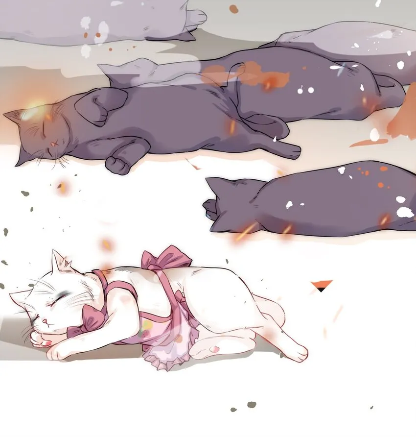 013 毁灭吧，虐猫人！ 第17页