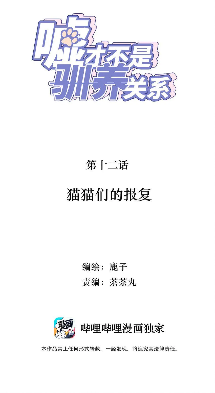 012 猫猫们的报复 第2页
