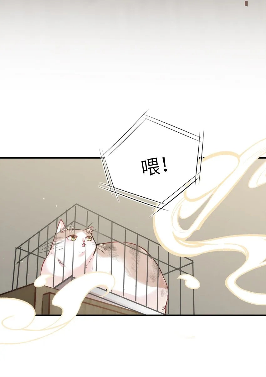 011 “偷卷”误遇杀机 第9页