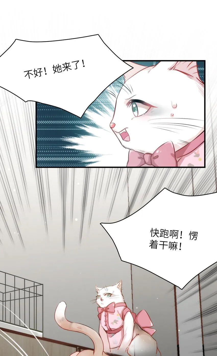 011 “偷卷”误遇杀机 第17页