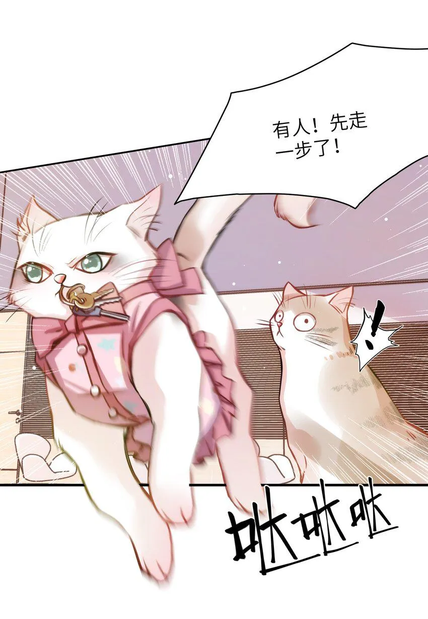 010 “作弊”见真情！ 第10页
