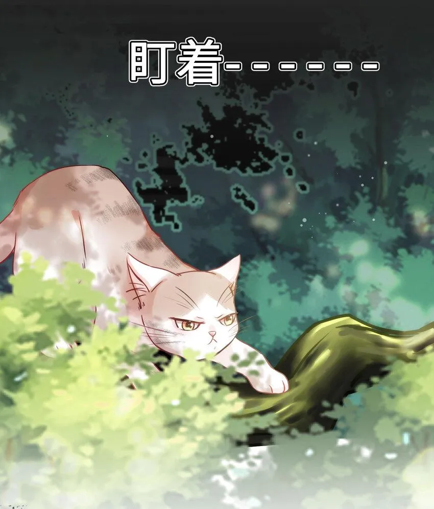 009 猫届女装大佬是小偷？ 第8页
