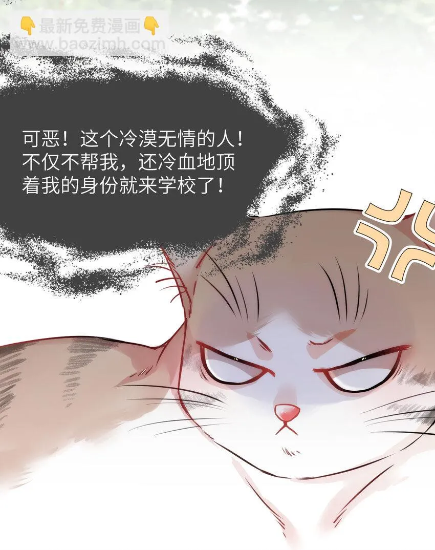009 猫届女装大佬是小偷？ 第9页