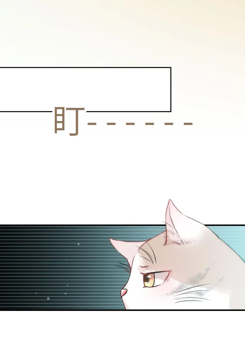 009 猫届女装大佬是小偷？ 第16页
