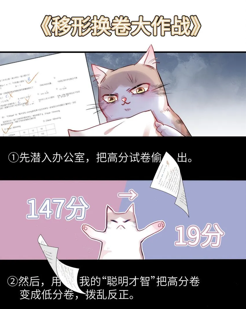 009 猫届女装大佬是小偷？ 第31页